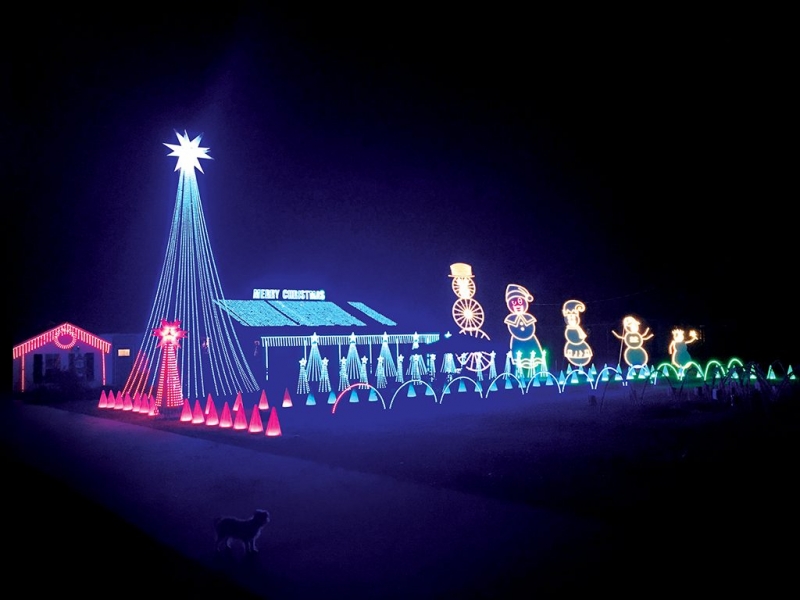 Christmas Lights Craze Local Families’ Holiday Displays Shine Bright